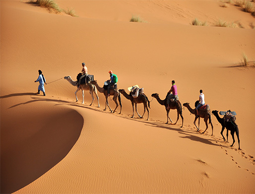Camel trekking merzouga