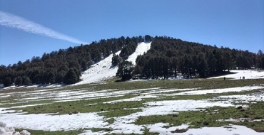 Atlas Mountains covered in snow and pine trees Atlas Mountains covered in snow and pine trees