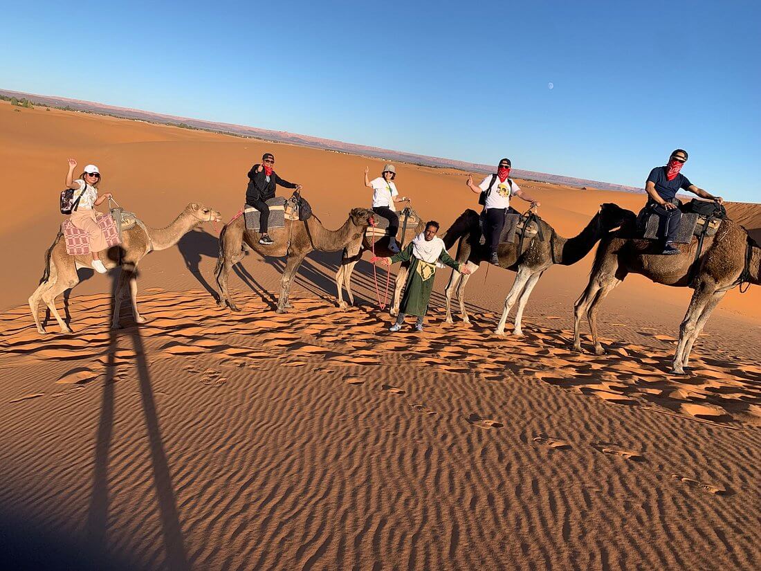Merzouga Desert Camels