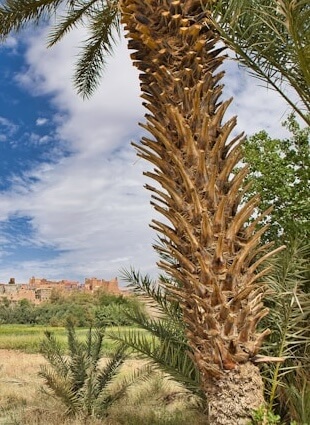 marcel-l-pytBfCyHguY-unsplash