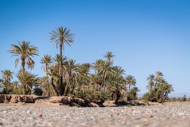 pawel-wieladek-GZlg3XzZCo0-unsplash