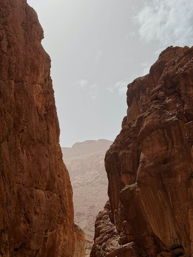 pexels-1093389518-31703992