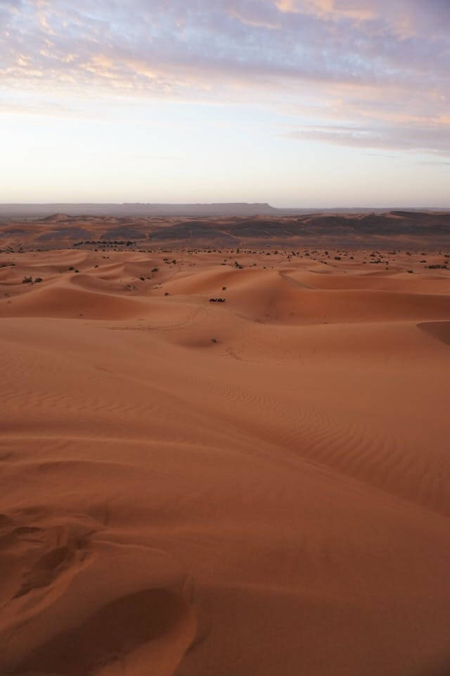 pexels-fives-tm-990299524-30628808