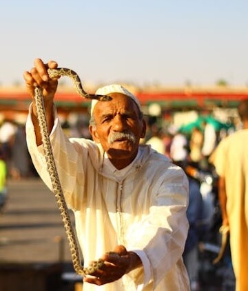 pexels-tmrknc-18806948